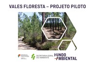 Notícias em destaque - Programa "Vales Floresta - Projeto Piloto"