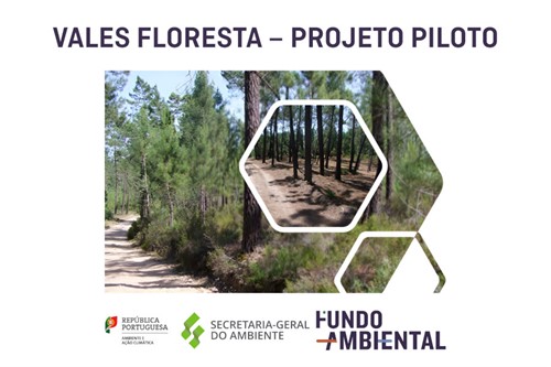 Vales _floresta ___projeto _piloto _01